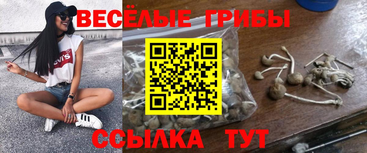 Галлюциногенные грибы Красный Сулин