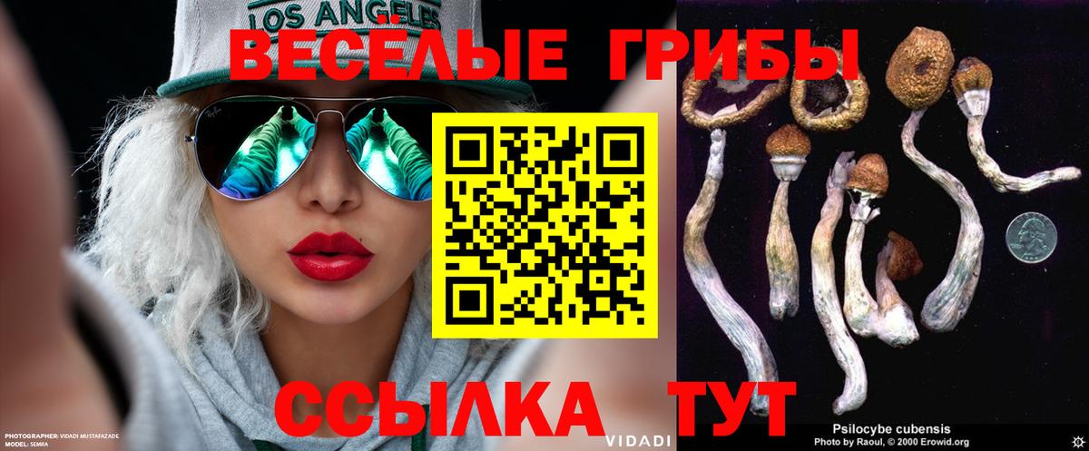 Галлюциногенные грибы GOLDEN TEACHER Красный Сулин