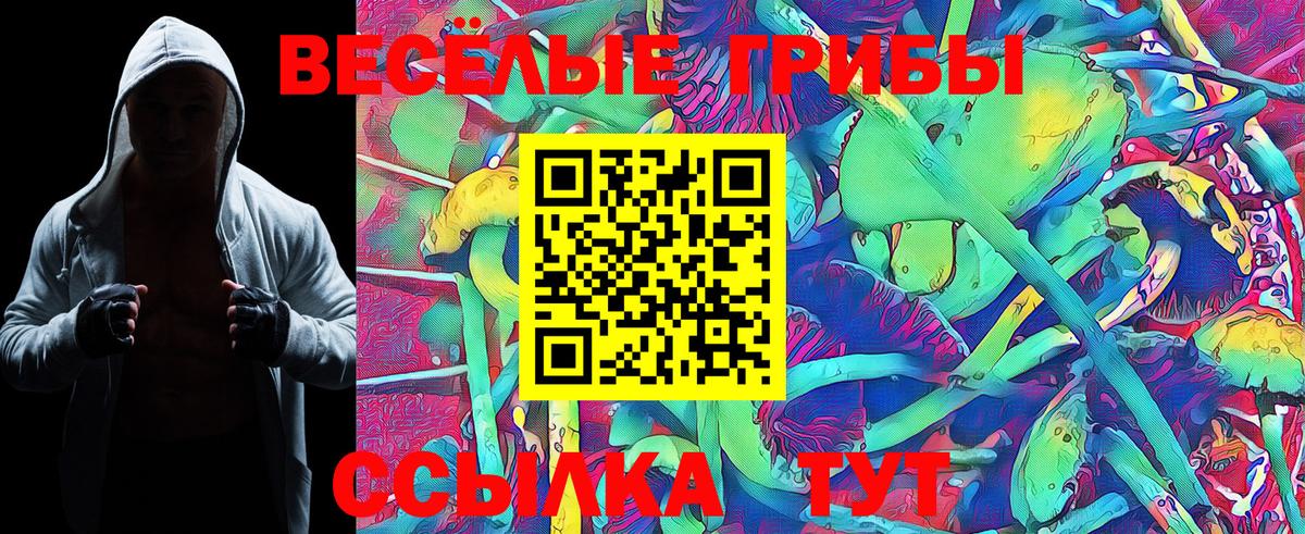 Красный Сулин  Псилоцибиновые грибы MAGIC MUSHROOMS  Вход с VPN 